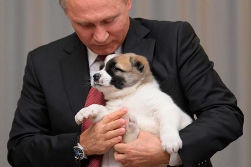Ein Hund für Putin GUSGipfel in Sotschi urban.dog