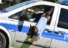Für Berliner Polizeihunde gibt es jetzt eine lebenslange Rente