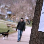 Lebensgefährliche Giftköder gegen Hunde - Motive vielfältig