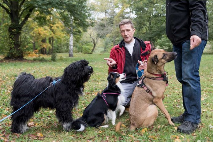 Was quält den Vierbeiner? So arbeitet ein Hundepsychologe urban.dog