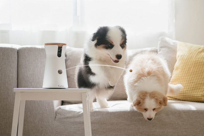 FURBO Hundekamera Entdecke, was Dein Hund macht, wenn Du mal nicht