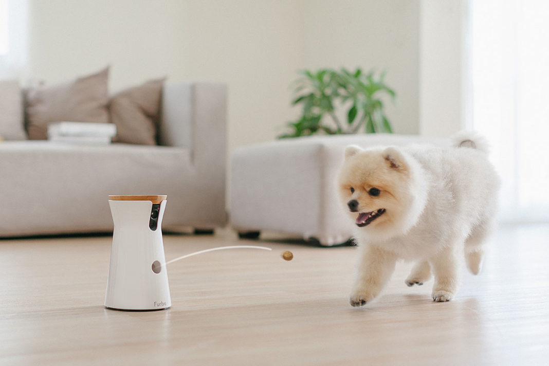 FURBO Hundekamera Entdecke, was Dein Hund macht, wenn Du mal nicht