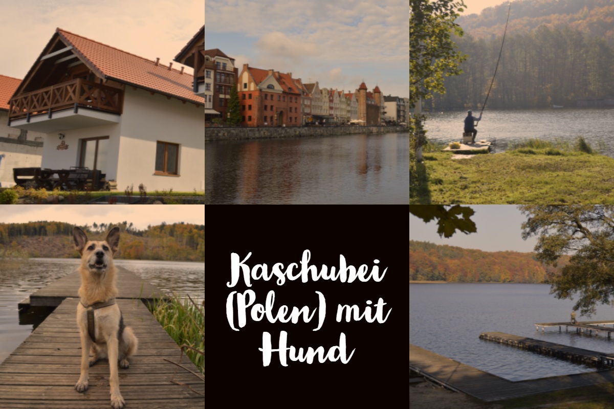 Urlaub in Polen Kaschubei mit Hund urban.dog