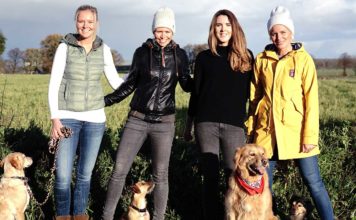 Tales & Tails: Fisch statt Fleisch