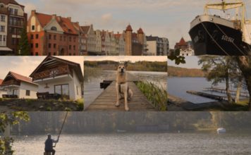 Urlaub in Polen: Kaschubei mit Hund