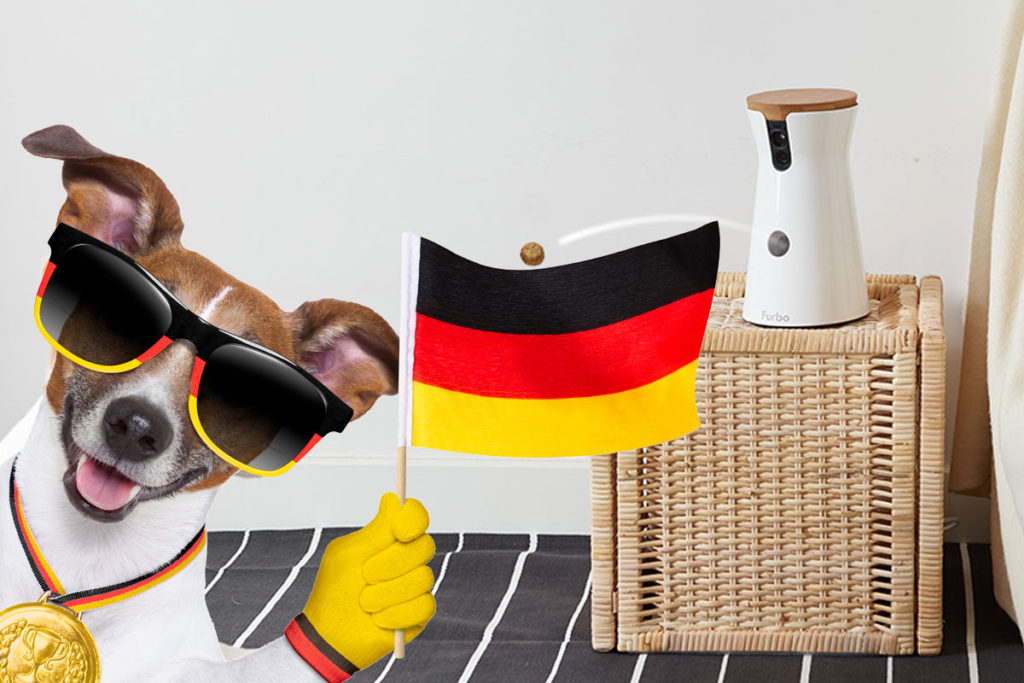 Fußball-WM 2018 Gewinnspiel: 5 FURBO Hundekameras zu gewinnen