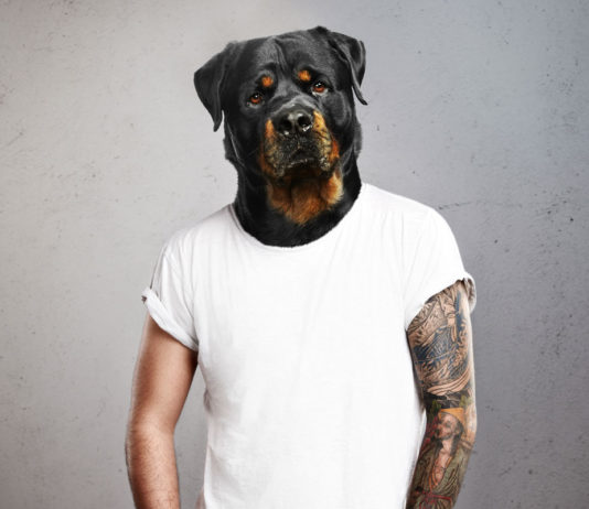 Gefährliche Hunde? Kampfhunde & Listenhunde