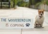 Wooferendum: Londoner Hunde demonstrieren gegen "Brexshit"
