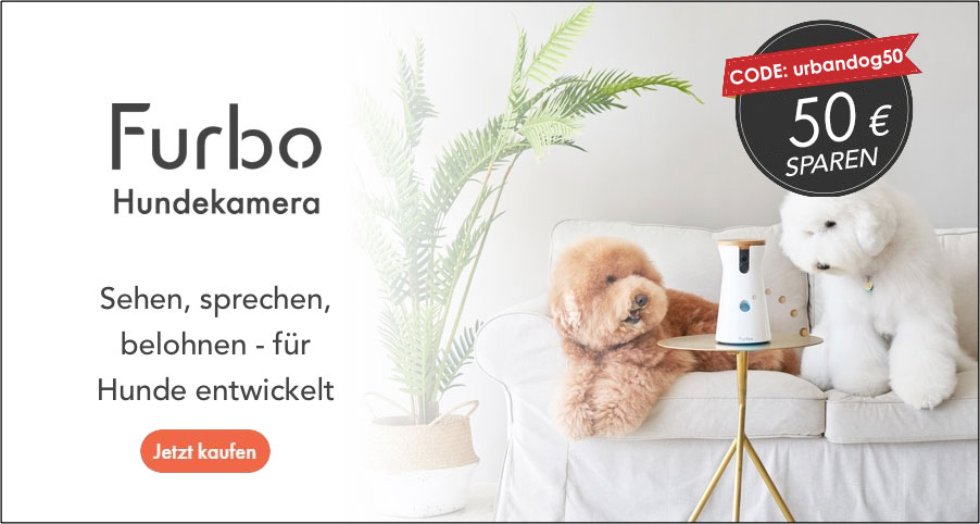 Furbo im Test: Kann eine Hundekamera den Hund beschäftigen, wenn er alleine ist?