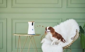 Gewinne eine interaktive Hundekamera von FURBO