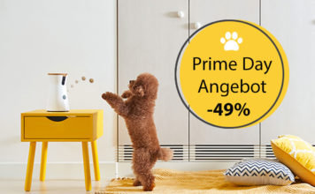 Prävention: Welpe allein zu Haus