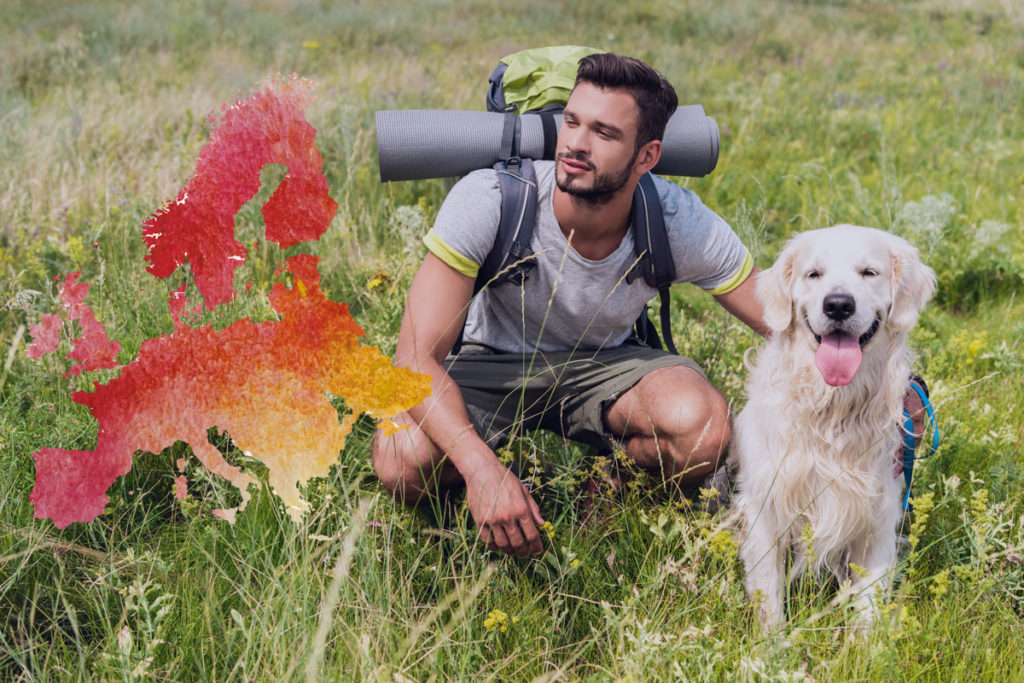 Urlaub 2020: Einreisebestimmungen mit Hund in EU-Länder