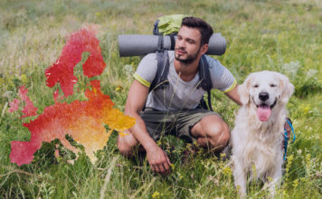 Urlaub 2020: Einreisebestimmungen mit Hund in EU-Länder